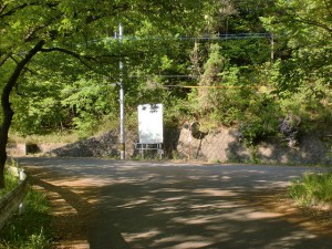 城池の堤防の車道（公渕森林公園）の先のＴ字路