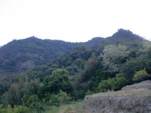 石船側の登山道入口から見る鷲ノ山