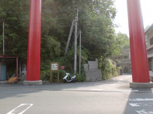 鹿野川大橋バス停横の小藪温泉への林道の入口にある赤い大鳥居