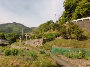 野口バス停から小道を進ん出さ期にある鳥居と大川山キャンプ場への林道のガードレールの画像