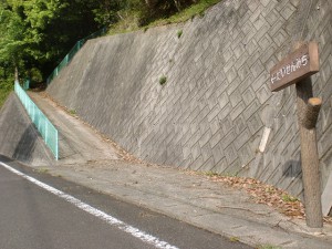 大川山キャンプ場に行く途中にある「だいせんみち」を示す道標の画像