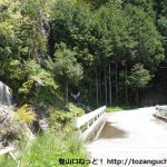 易老渡・便ヶ島に向かう林道の途中にある滝
