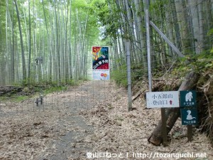 小五郎山登山口への林道入口ゲート