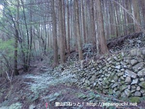 城将山登山口から登山道に入ったところで見られる棚田跡の石組