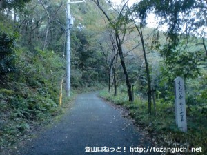 塩尾寺の手前の林道