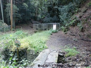 金竜寺跡に行く途中の登山道入口