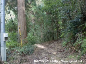 南海電鉄の天見駅から旗尾岳の登山口に行く手前で林道に入るところ