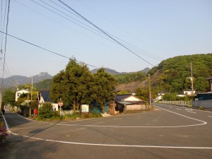 県道から白岳登山口に続く林道への分岐地点の画像