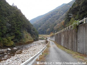尾和田バス停からゴンニャク山の登山口に行く途中の林道