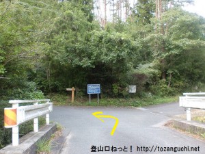 県央の森の入口分岐