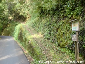 十津川村の西中にある熊野古道（小辺路）の三浦峠登山口