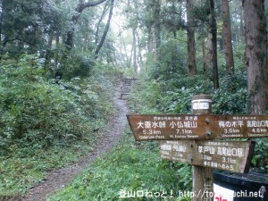 三沢峠に設置された登山道を示す道標