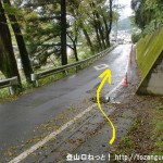 あきる野市の阿伎留神社南側の登山道のような小路を下って車道に出たところ