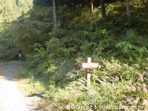 小下沢林道の狐塚峠への登り口
