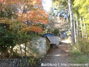 倉戸山の登山口となる温泉神社本殿右側の登山道に続く坂道