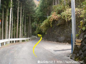 安寺沢の本仁田山登山に行く途中の林道のＴ字路を直進