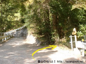 羽黒三田神社の本殿右横から登山道に入った先で車道に出てまた登山道に入るところ
