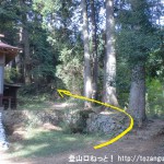 羽黒三田神社の本殿右横から登山道に入る