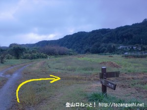 滝山城跡に行く途中の多摩川沿いの土手道に設置された都立滝山公園を示す道標があるところで右に曲がる