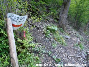 あしがくぼキャンプ場の富士浅間神社の鳥居そばに設置されてる二子山登山口（浅間神社コース）の道標