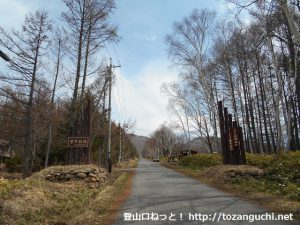 菅平牧場の車道