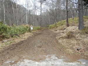鹿沢温泉の湯ノ丸山登山口から見る角間峠への登山道