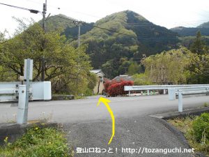 武州中川駅から若御子神社に行く途中で横切る車道を超えるところ