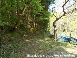 村松堰堤の少し先の林道のＴ字路