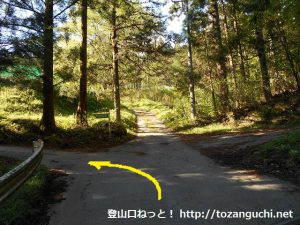 栗生神社に行く途中の林道の辻を左折