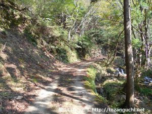 蘇武山の寺河内コースに続く林道