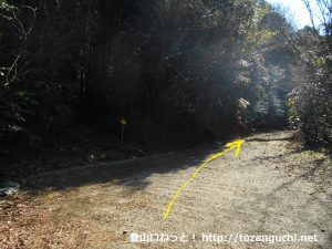 桑谷山の北側の林道の終点手前の舗装路が終わるところ