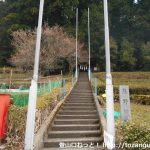 豊根村の富山地区にある熊野神社の参道入口