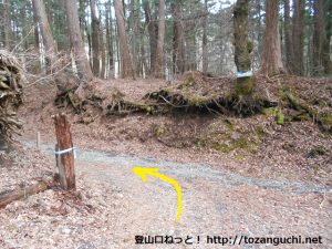 杓子山・立ノ塚峠の登山口前の車道終点（※工事中）の横で登山道に入るところ