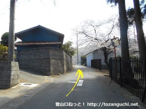 桜公園に行く途中の稲村神社手前を左折したら小路を直進